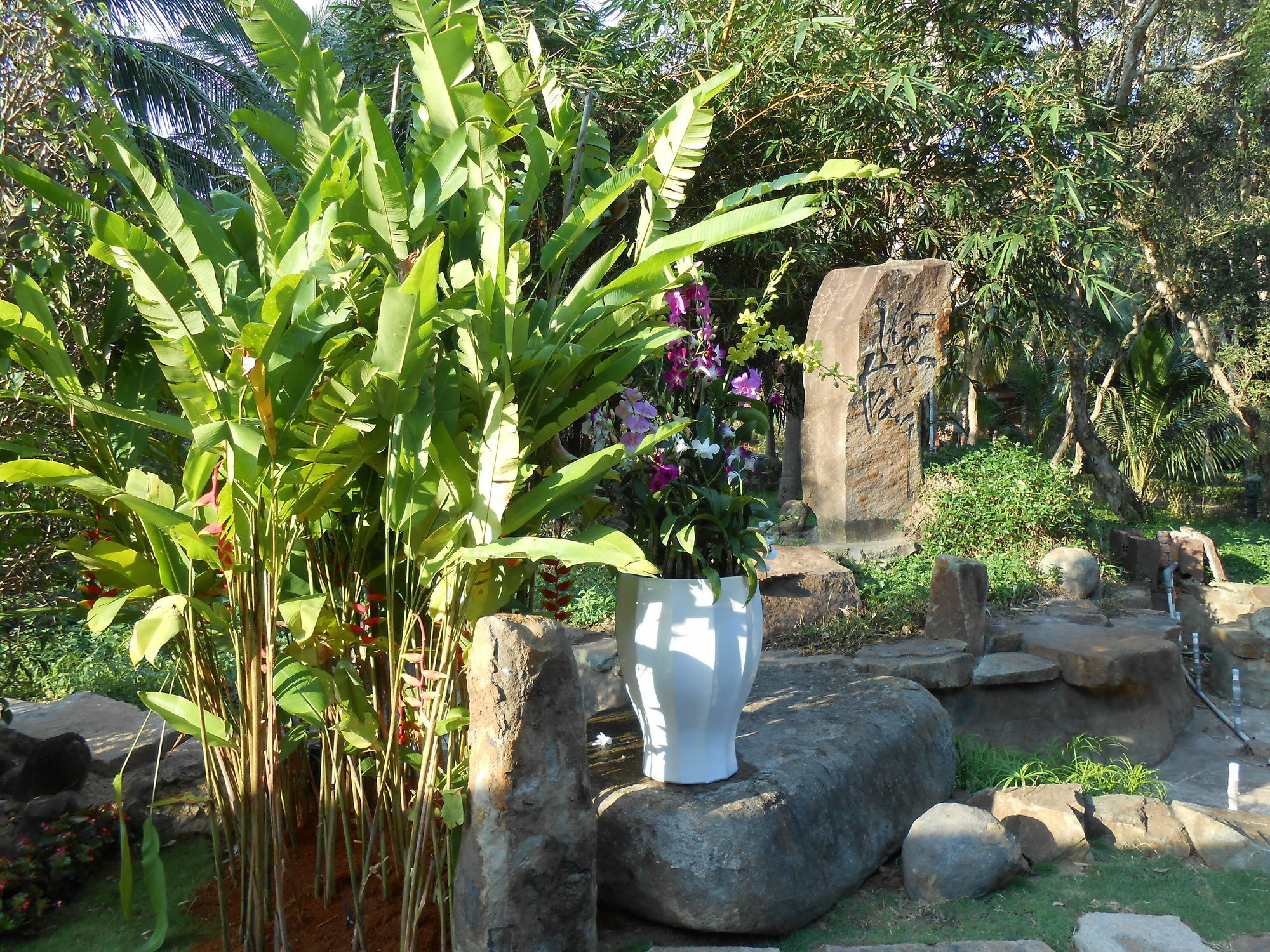 Minera Hot Springs Binh Chau Ξενοδοχείο Εξωτερικό φωτογραφία